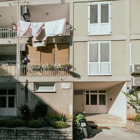 Timbar Apartman *